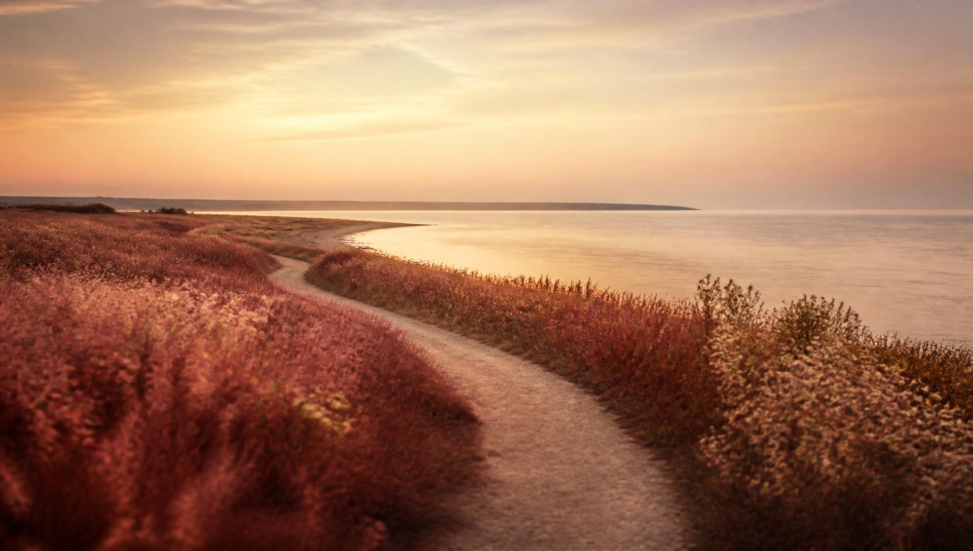 A winding path at dusk, lit by the last light on the horizon